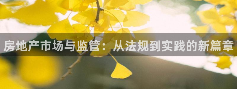 摩登4前7O667：房地产市场与监管：从法规到实践的新篇章