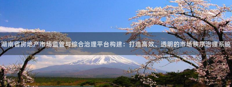 摩登7登陆平台：湖南省房地产市场监管与综合治理平台构建：打造