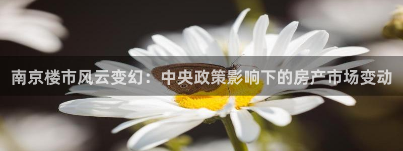 摩登5冯7O667：南京楼市风云变幻：中央政策影响下的房产市