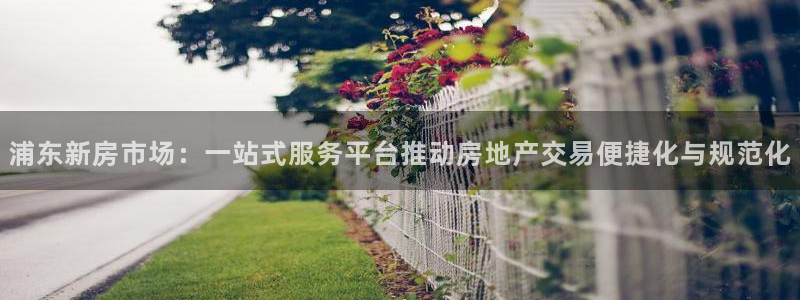 摩登7注册平台：浦东新房市场：一站式服务平台推动房地产交易便