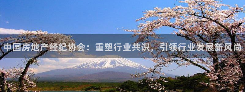 摩登7来宾：中国房地产经纪协会：重塑行业共识，引领行业发展新