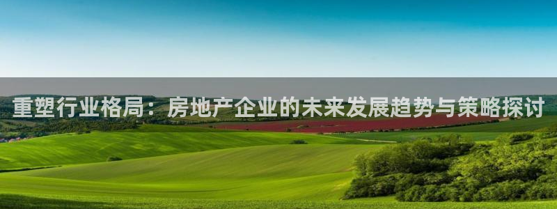 摩登7去3299O7：重塑行业格局：房地产企业的未来发展趋势