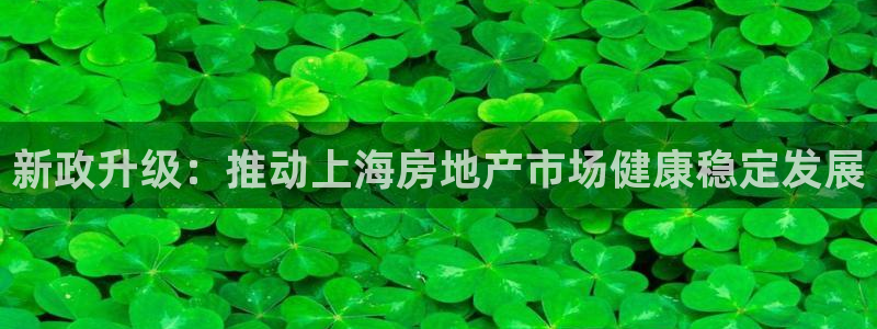 摩登7招商议333OO：新政升级：推动上海房地产市场健康稳定