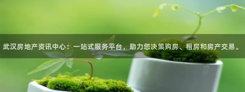 摩登5吕7O667：武汉房地产资讯中心：一站式服务平台，助力