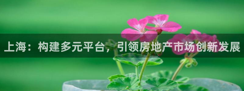 摩登7注册平台：上海：构建多元平台，引领房地产市场创新发展