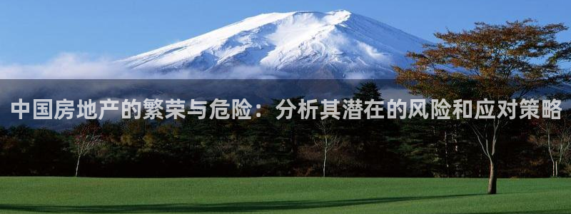 摩登3褚7O667：中国房地产的繁荣与危险：分析其潜在的风险