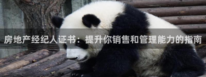 摩登7安全吗：房地产经纪人证书：提升你销售和管理能力的指南