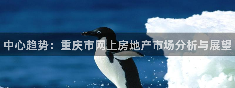 摩登7代理382223：中心趋势：重庆市网上房地产市场分析与