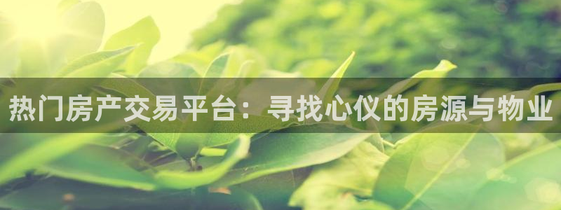 摩登5施7O667：热门房产交易平台：寻找心仪的房源与物业