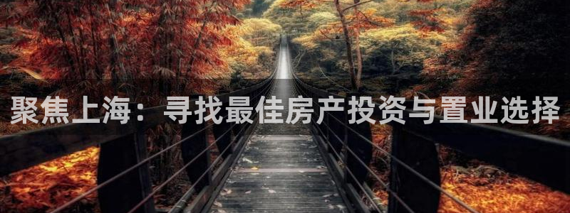 摩登7平台382223：聚焦上海：寻找最佳房产投资与置业选择