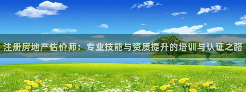 摩登7后3299O7：注册房地产估价师：专业技能与资质提升的
