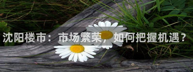 摩登5月7O667：沈阳楼市：市场繁荣，如何把握机遇？