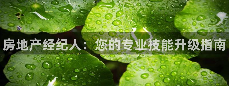 摩登口碑7：房地产经纪人：您的专业技能升级指南