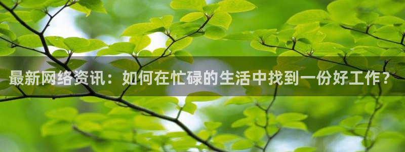 摩登7登录找qv3822233：最新网络资讯：如何在忙碌的生