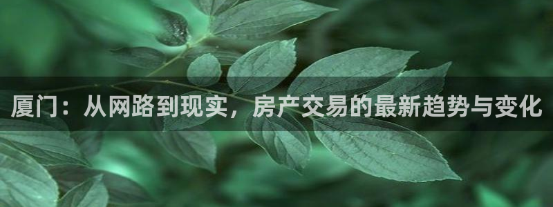 摩登招商7快22650