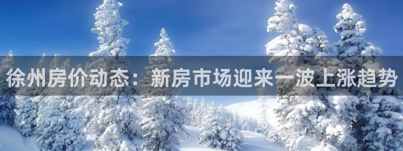 摩登7测速：徐州房价动态：新房市场迎来一波上涨趋势