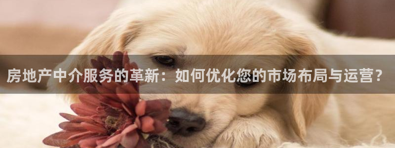 摩登7彩票平台登陆总代：房地产中介服务的革新：如何优化您的市