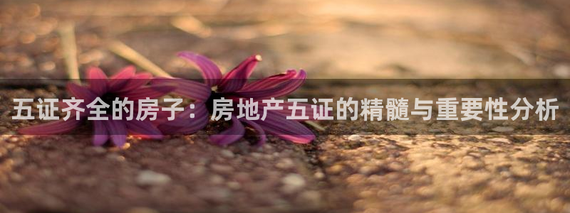 7牌摩登：五证齐全的房子：房地产五证的精髓与重要性分析