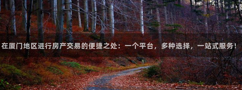 摩登5周7O667：在厦门地区进行房产交易的便捷之处：一个平