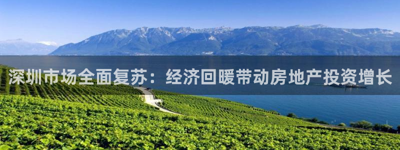 摩登7招商议333OO：深圳市场全面复苏：经济回暖带动房地产