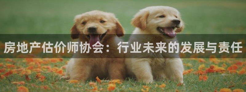 摩登7点：房地产估价师协会：行业未来的发展与责任