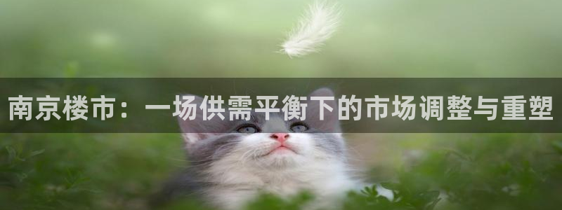 摩登7升：南京楼市：一场供需平衡下的市场调整与重塑