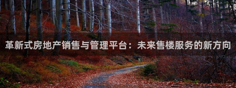 摩登7开户：革新式房地产销售与管理平台：未来售楼服务的新方向