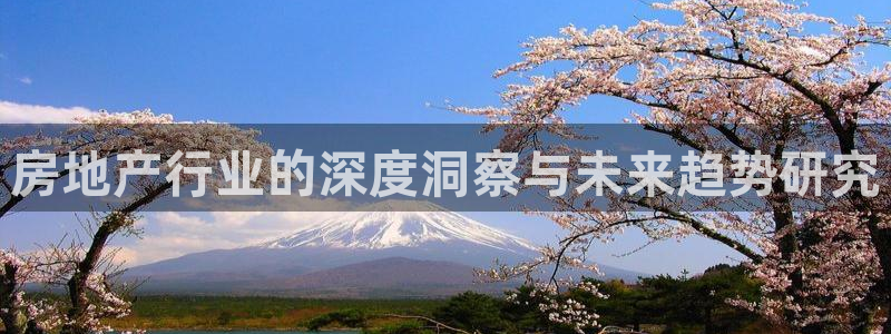 摩登5右7O667：房地产行业的深度洞察与未来趋势研究