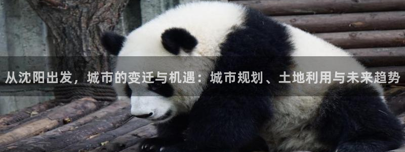 摩登7天7O667：从沈阳出发，城市的变迁与机遇：城市规划、