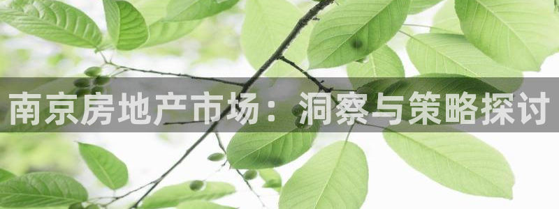 摩登7登录亡333OO：南京房地产市场：洞察与策略探讨