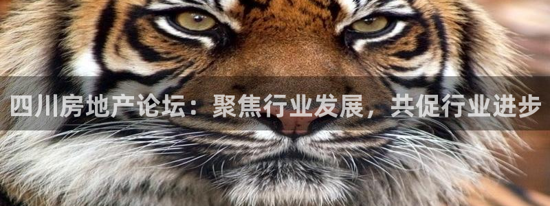 摩登7平台网址下载