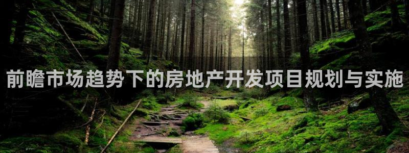 摩登口碑7：前瞻市场趋势下的房地产开发项目规划与实施