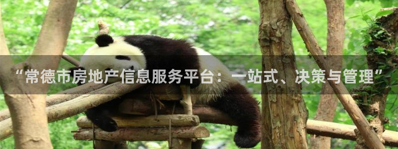 摩登3冯7O667：“常德市房地产信息服务平台：一站式、决策