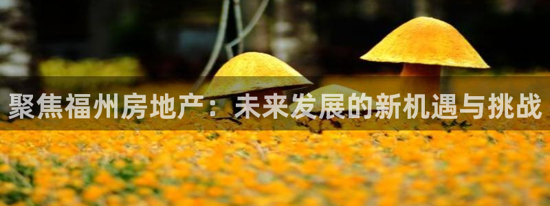 摩登7平台登录网址：聚焦福州房地产：未来发展的新机遇与挑战