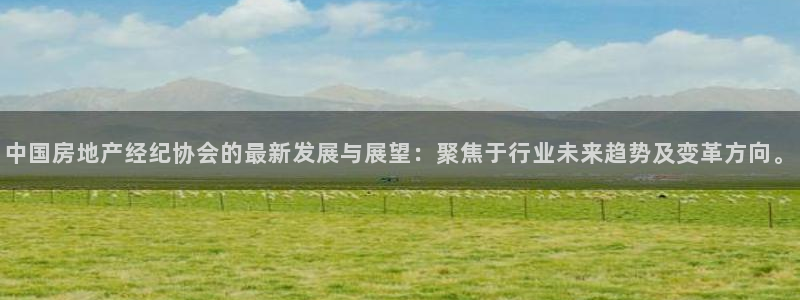 摩登7平台首页：中国房地产经纪协会的最新发展与展望：聚焦于行