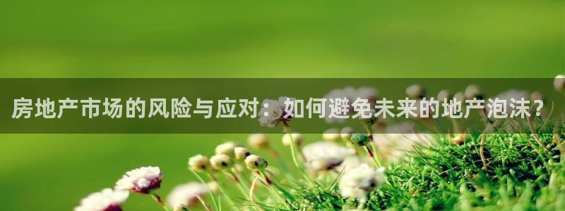 摩登7平台382223：房地产市场的风险与应对：如何避免未来
